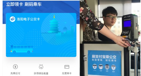 1565055845419112.jpg 41C75D61-D504-46A8-BD85-3E2A3499A503.JPG